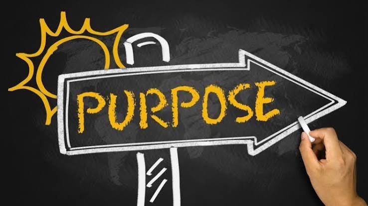 Do It On Purpose